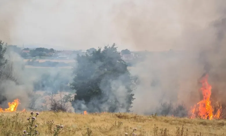 Sezoni i verës  AME apelon për kujdes të shtuar  Shmangni shkaktarët e mundshëm të zj rrit