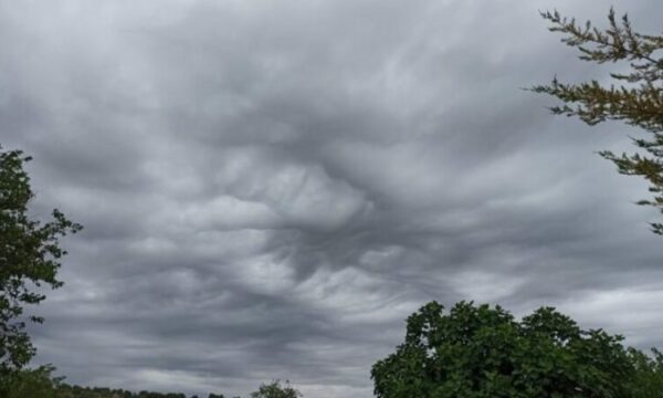 Parashikimi i motit për sot