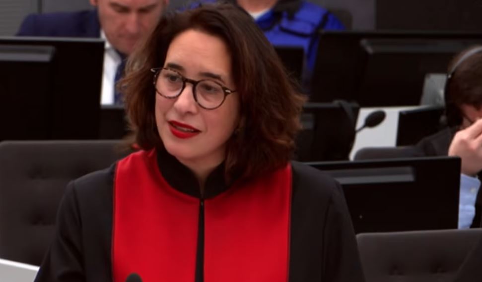 Avokatja Tavakoli  Si është e mundur që Thaçi vetëm 29 vjet t i ketë gënjyher diplomatët 