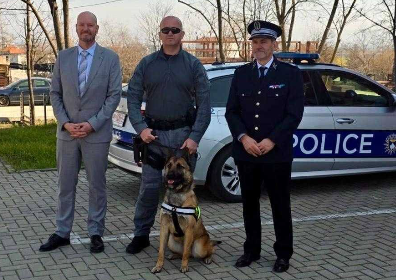 Çertifikohen dy qenë policorë
