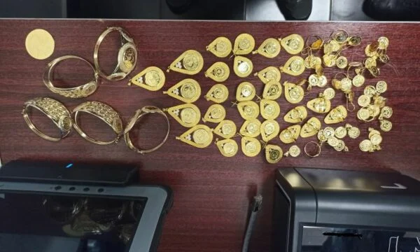 Kapet ari i padeklaruar në kufi  Policia dhe Dogana e Kosovës ndërhyjnë në Han të Elezit