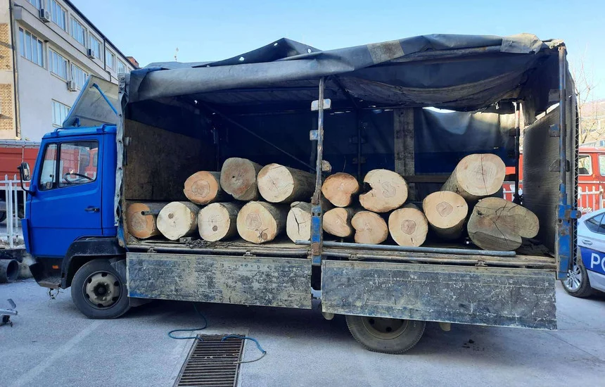 Arrestohet një zyrtar i Agjencisë së Pyjeve për legalizim të kontrabandës me dru