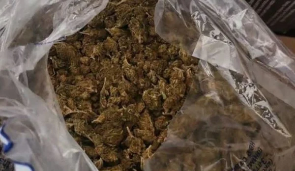kater-te-arrestuar-ne-aksionin-ne-prishtine-e-ferizaj-sekuestrohen-60kg-marihuane