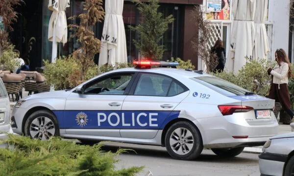 i-la-femijet-e-mbyllur-ne-veture-policia-e-gjobit-me-300-euro-nje-nene-ne-prizren