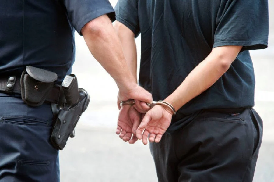 arrestohet-nje-person-ne-han-te-elezit-ishte-i-kerkuar-per-vjedhje-te-pyllit