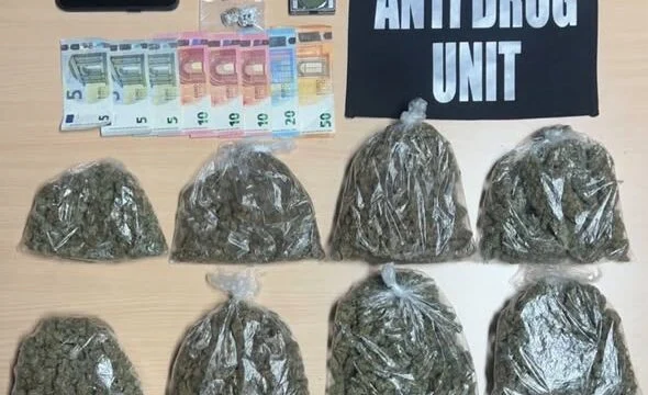 dy-raste-te-narkotikeve-ne-burgun-e-dubraves-policia-nis-hetimet